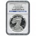 Certified Proof Silver Eagle 2010-W  PF70 NGC Early Release